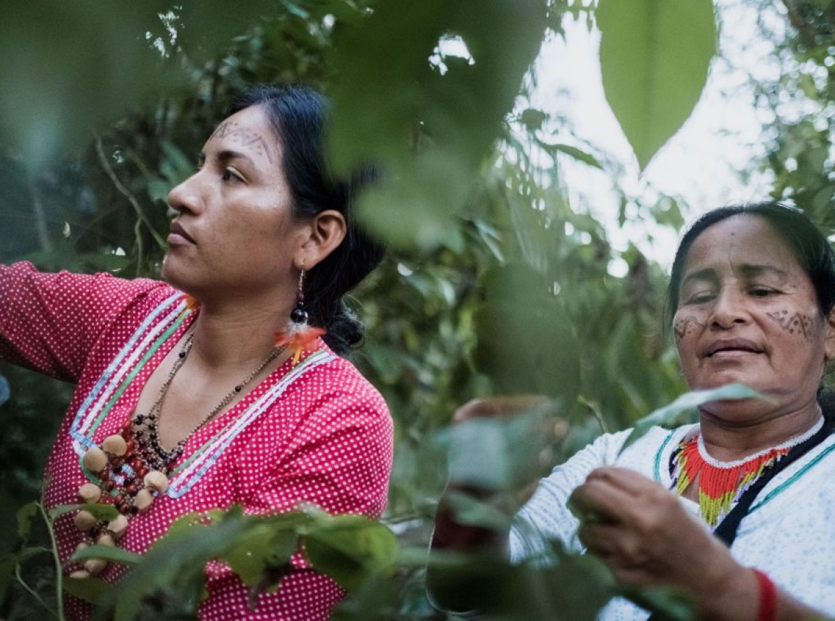 CONSERVACIÓN Y DERECHOS HUMANOS: UN COMPROMISO INCLUSIVO